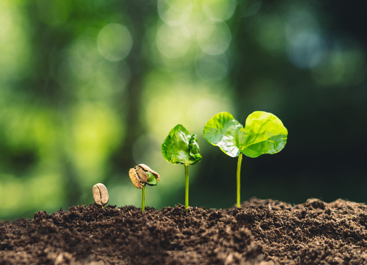ESMA’s New Oversight on ESG Rating Provider 
