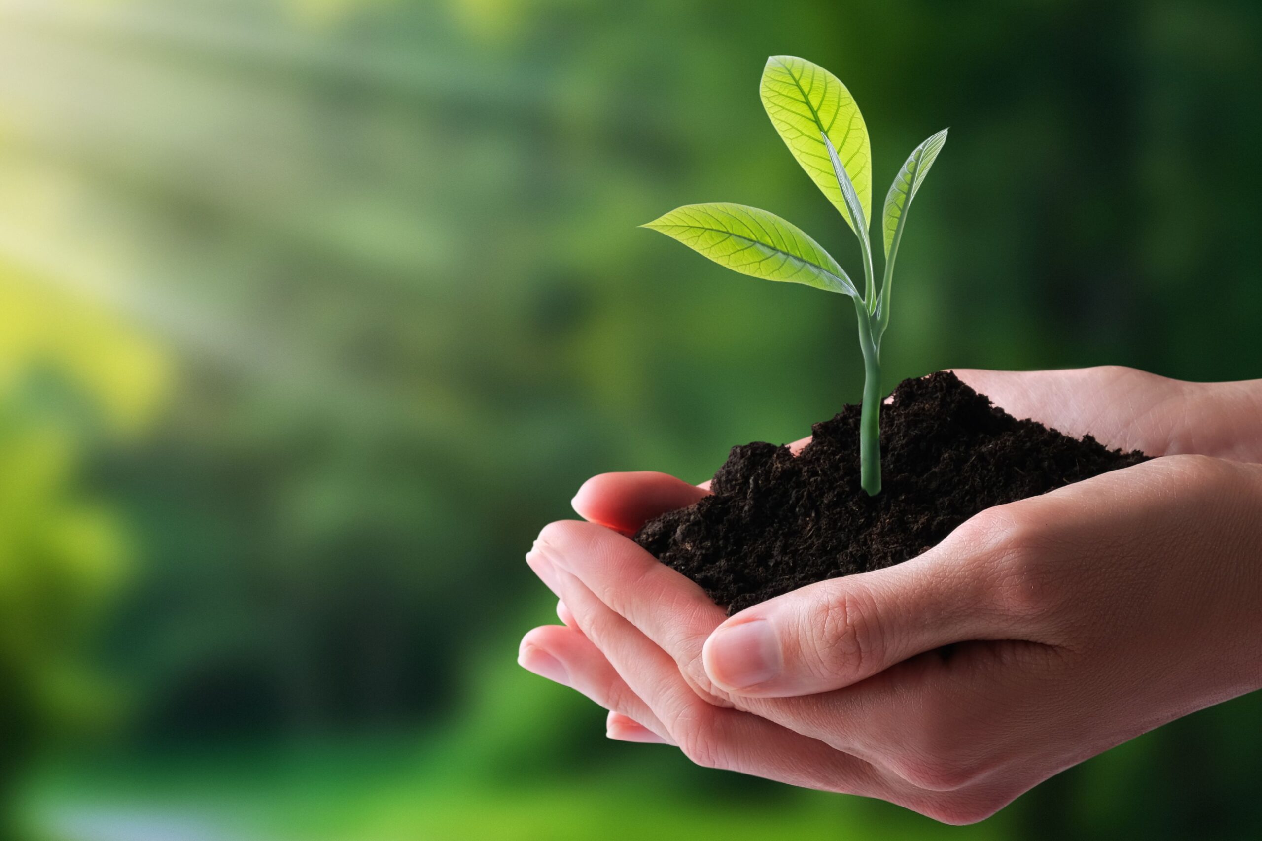 The EU Commission Adopts EFRAG's Revised Sustainability Reporting Standards for ESRS: What It Means for Your CSRD Reporting 