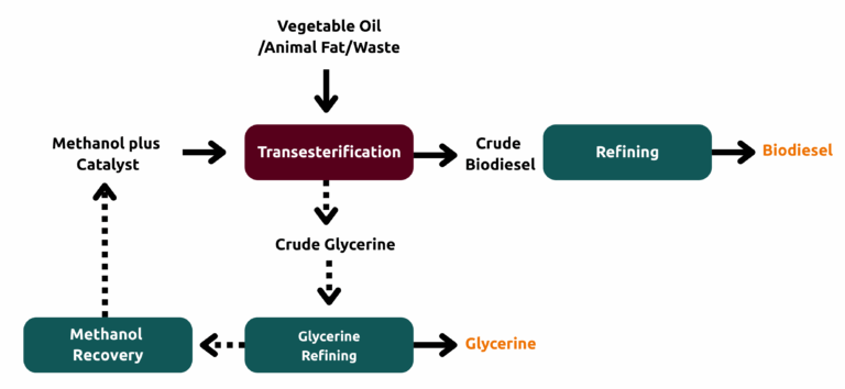 Biofuel Production: Challenges & Opportunities in Shipping