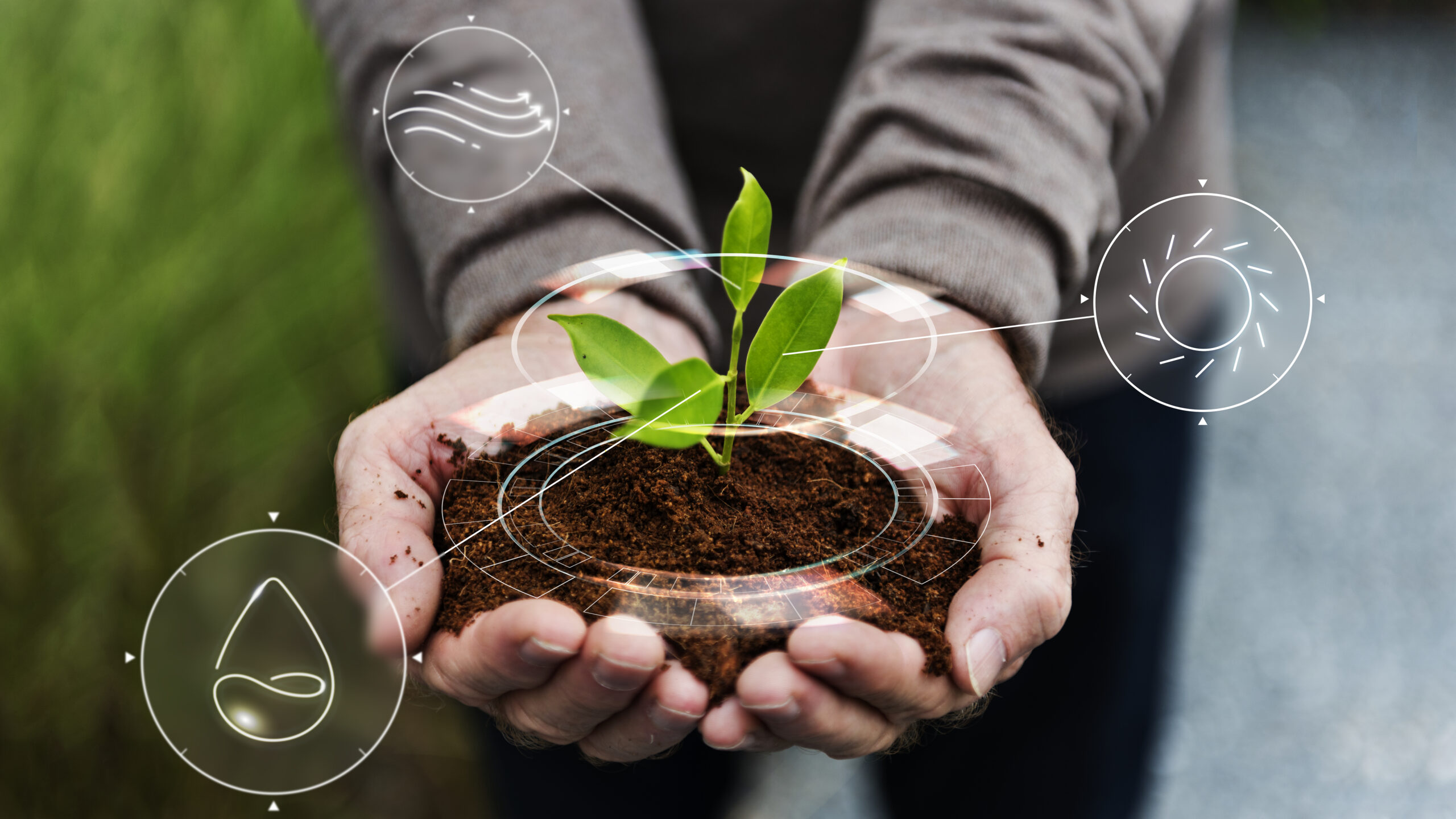 Sustainability Training 